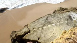 ddm-blog-seguindo-os-passos-dos-gigantes-descobrindo-pegadas-de-dinossauros-na-praia-de-salema